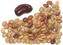 Horse Gram Seeds