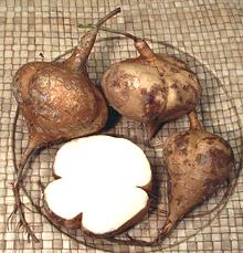 Whole and cut Philippine Jicama Tubers