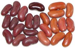 Red Kidney Beans