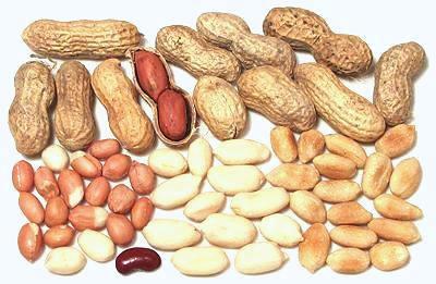 Peanuts, Various Forms