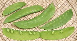 Snow Peas