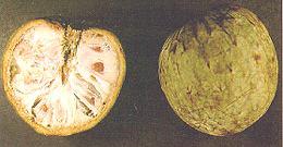 Custard Apple, Inside and Outside