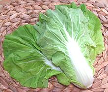 Sweet Bok Choy Leaves