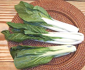 Long Bok Choy heads