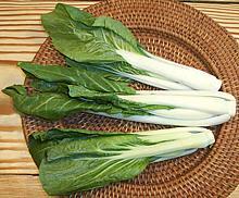 Long Bok Choy Heads