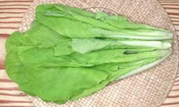 Taiwan Bok Choy Leaves