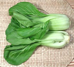 Shanghai Bok Choy heads