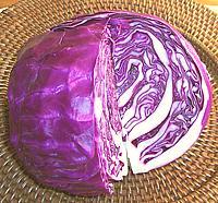 Red Cabbage cut