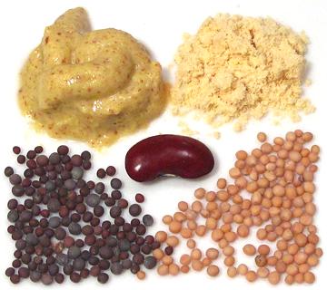 Mustard Seeds