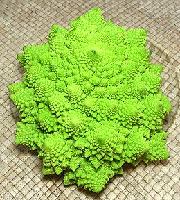 Romanesco