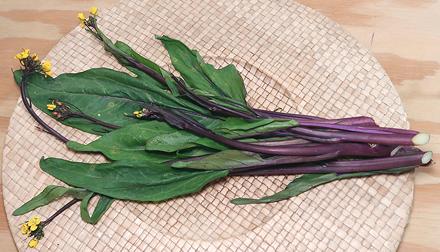 Red Stem Yu Choy Stems, Leaves, Flowers