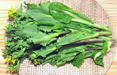 Humong Yu Choy, Stems, Leaves