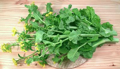 Mongolian Yu Choy Stalks with Leaves