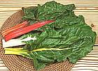 Chard