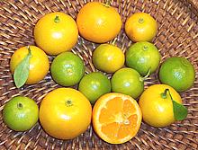 Whole and Cut Calamansi