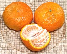 Whole and Partially Peeled Gold Nugget fruit