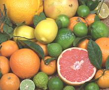 Citrus Mix