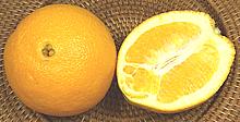 Whole and Cut Navel Orange