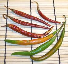 Fresh and Dried de Arbol Chilis