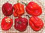 Red Scotch Bonnet Chilis