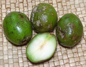 Green June Plums, whole and cut