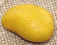 Whole Ataulfo Mango