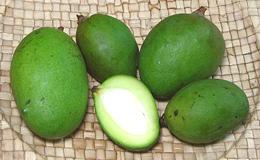 Green Florida Mangos, whole and cut