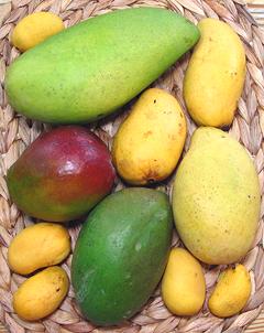 Mixed Mangos