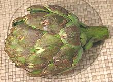 Whole Frost Damaged Artichoke