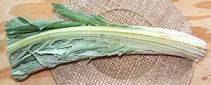 Bunch of Cardoon Stalks