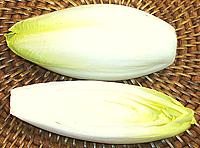 Heads of White Belgian Endives