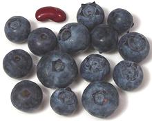 Fresh Blueberries