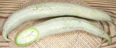 Snake Gourds