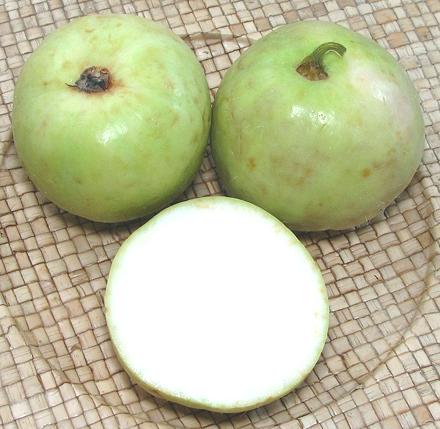 Tinda Gourds, whole and cut