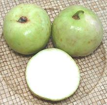 Whole and Cut Tinda Gourds