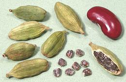 Green Cardamom Seed Pods