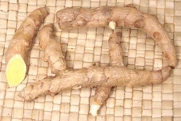 White Turmeric  Rhizomes