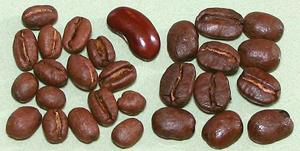 Roasted Coffee Beans