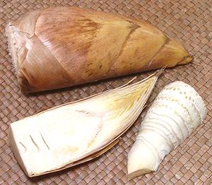 Fresh Bamboo Shoots, whole, peeled and cut