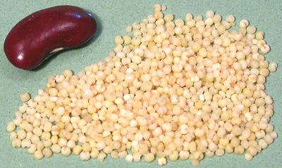 Millet Seeds