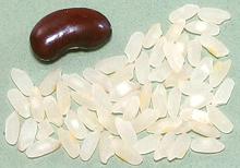 White Baldo Rice Grains