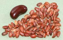 Bhutan Red Rice Grains