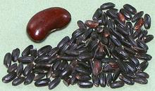 China Black Rice Grains