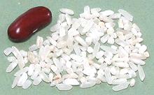 Grains of Charleston White Rice