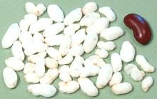 Puffed Rice Grains