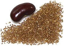 Whole Teff Seeds