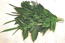 Herbs