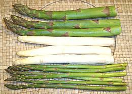 Thick, White & Thin Asparagus Spears