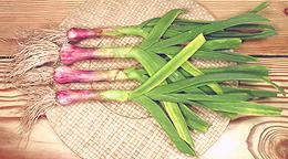 Taiwan Leeks, trimmed