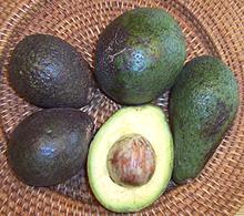 Various Avocados